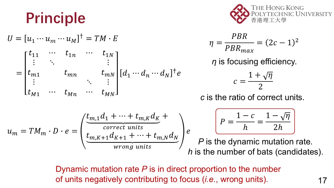 PPT (17)