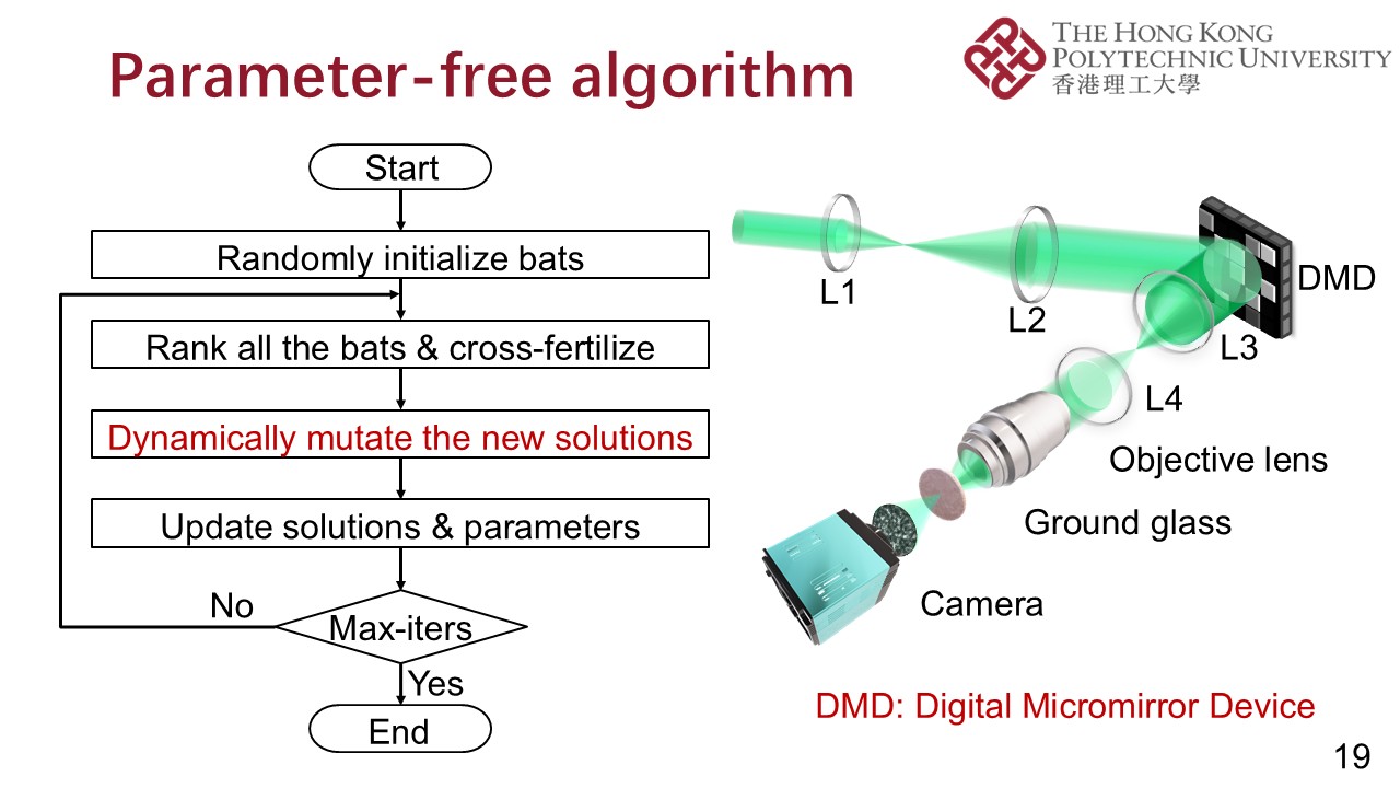PPT (19)