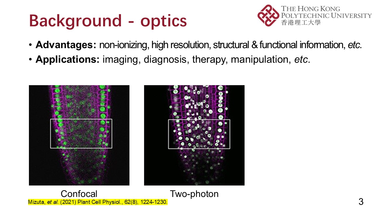 PPT (3)