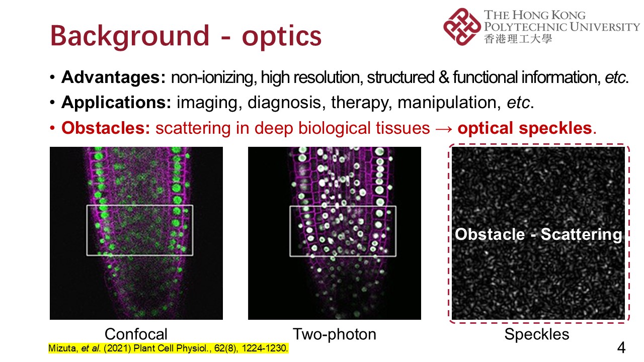 PPT (4)
