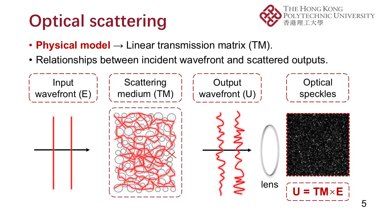 PPT (5)