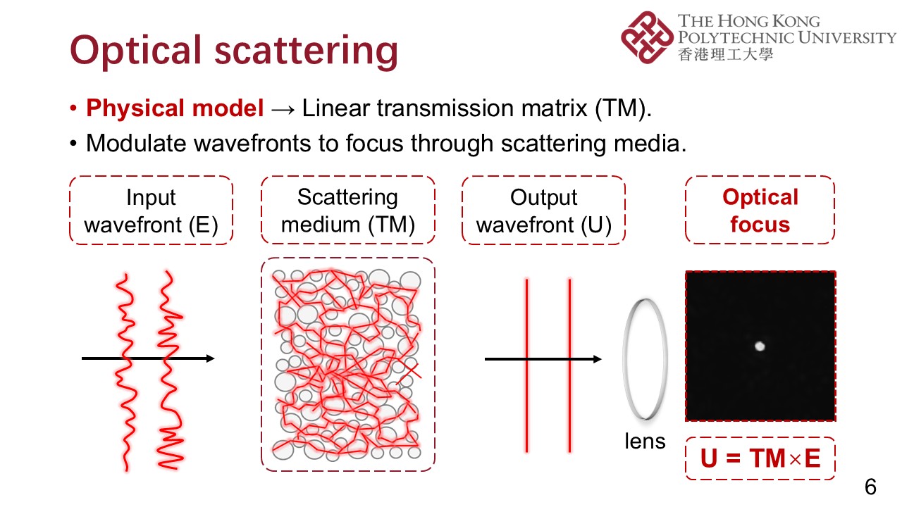 PPT (6)